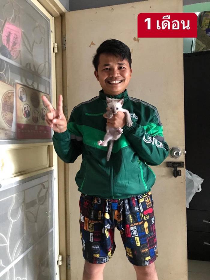 หนุ่มรีวิวพาแมวขับแกร็บ 3 ปี หน้าดำหมดเลย
