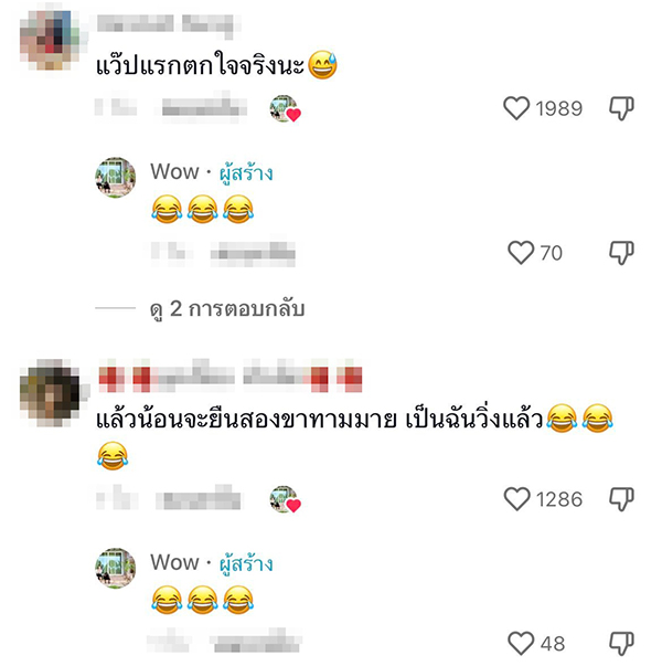 เงาดำปริศนา