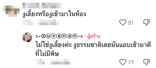 สาวหลับลูบหัวงูหมือนลูบหัวหมา