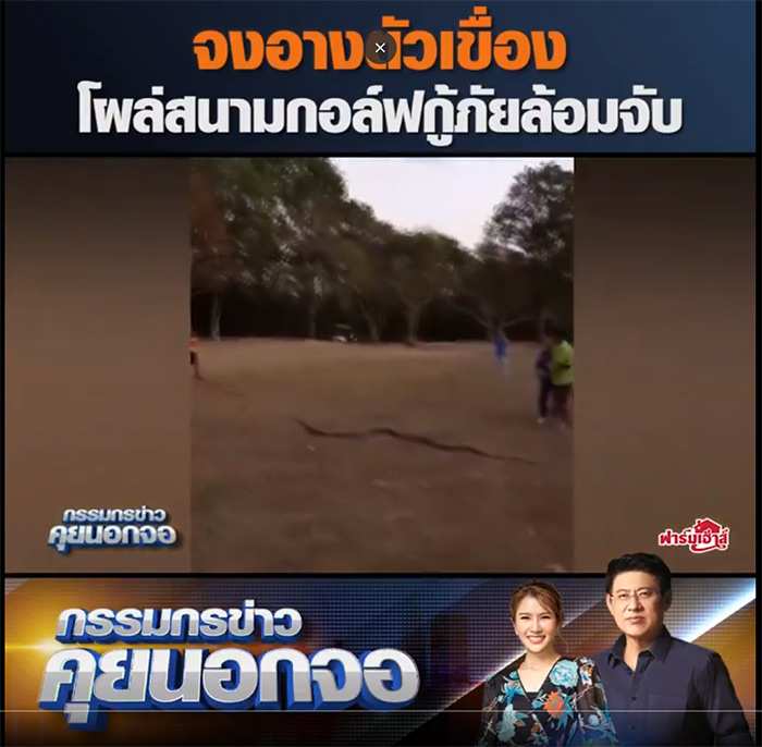 งูจงอางยักษ์ 