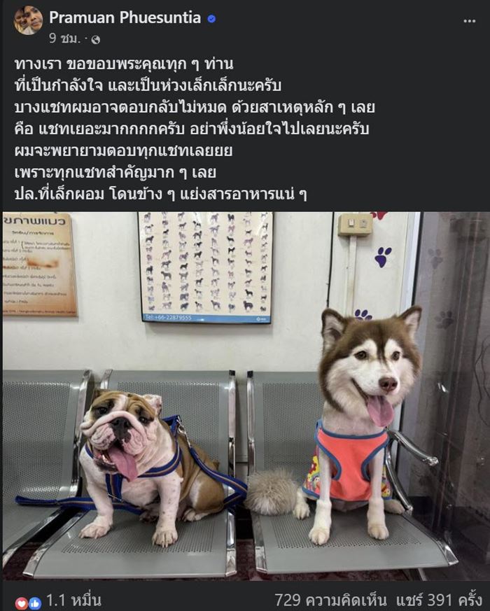 ไซบีเรียน โดนน้ำร้อนราด 