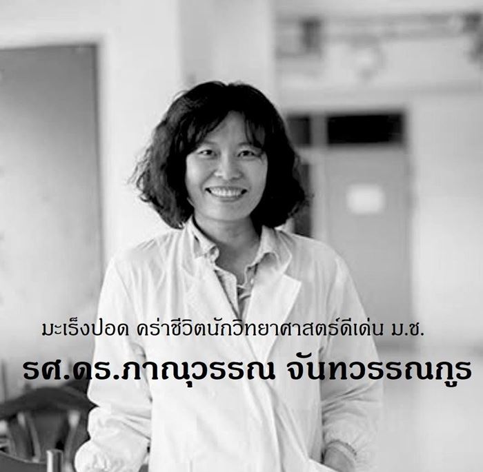 พิษฝุ่น