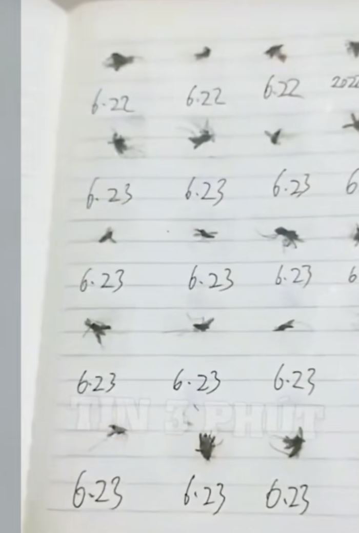 คุณแม่อวดผลงาน สมุดเก็บศพยุง ที่มากัดลูก