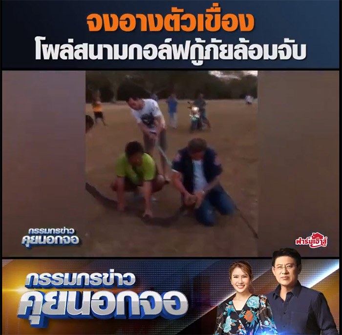 งูจงอางยักษ์ 