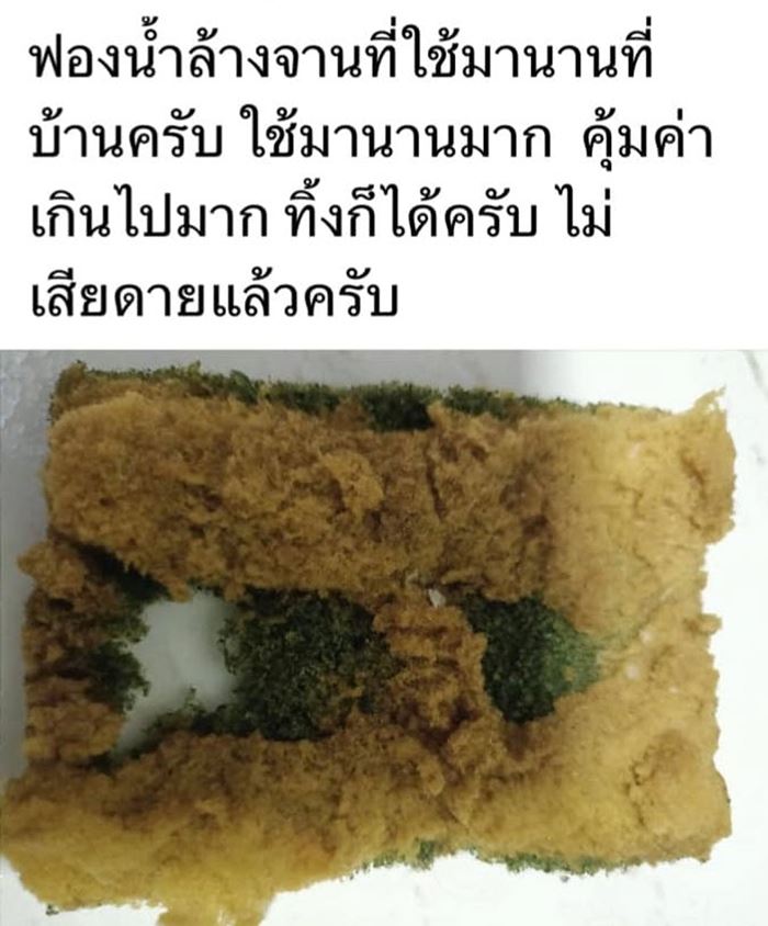 ฟองน้ำล้างจาน