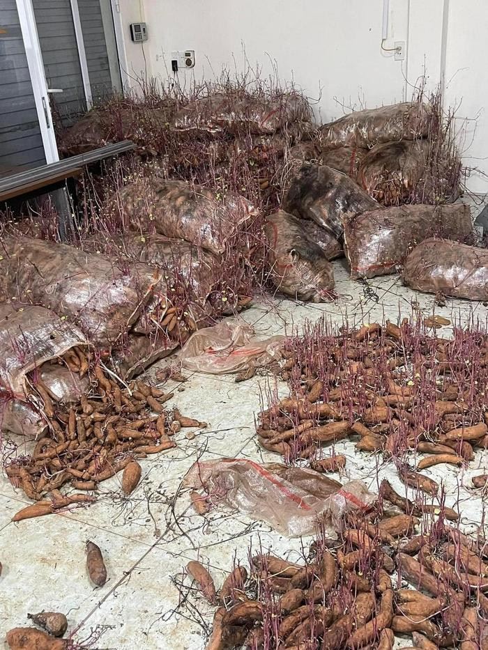 มันหวาน