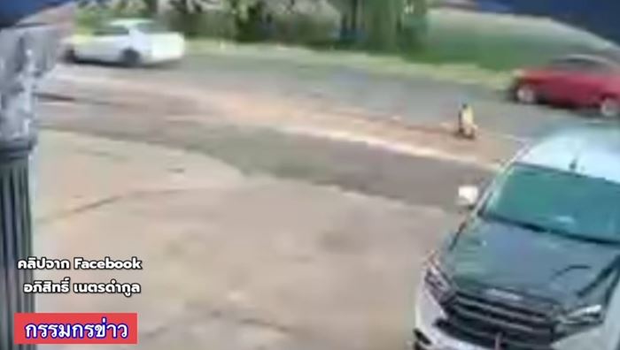 เด็ก 2 ขวบ เล่นรถของเล่นพุ่งไปกลางถนน