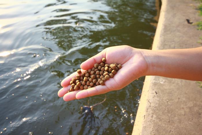 ตำรวจคุกคามทางเพศ