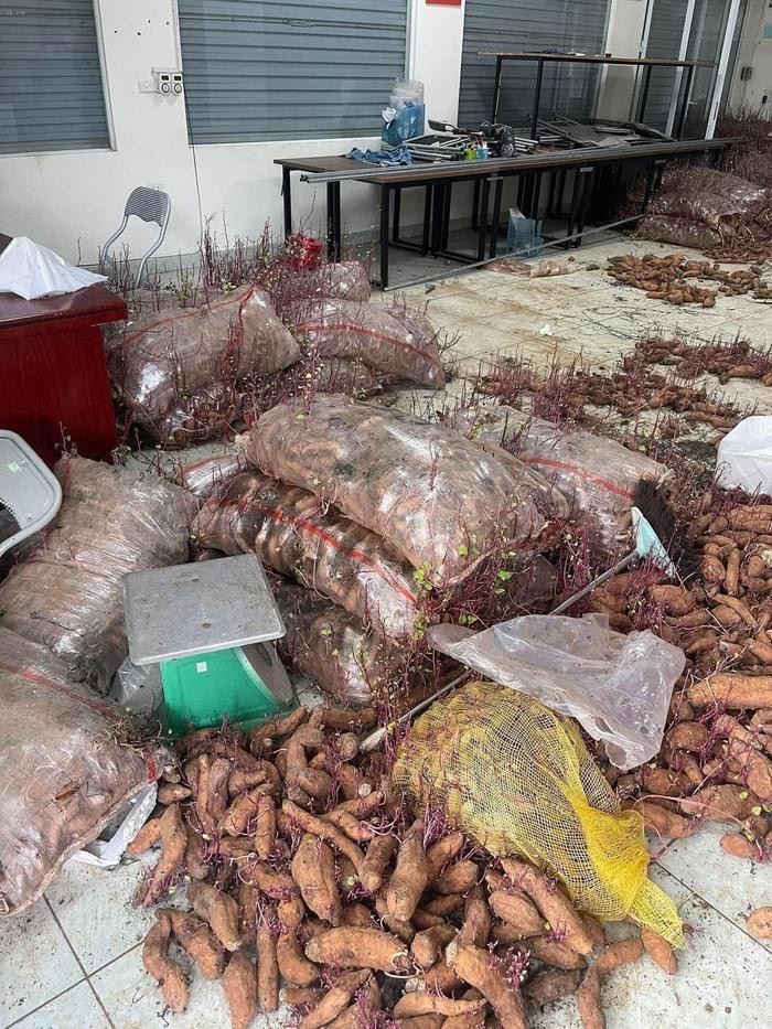 มันหวาน