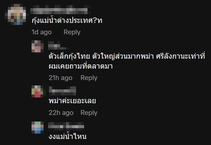 ซ่อนหินในกุ้ง