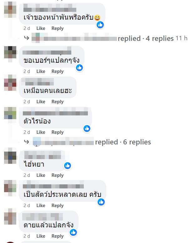 ลูกครึ่งวัวคน