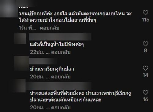 นอนโฮมสเตย์ริมน้ำ เจอกองทัพงู