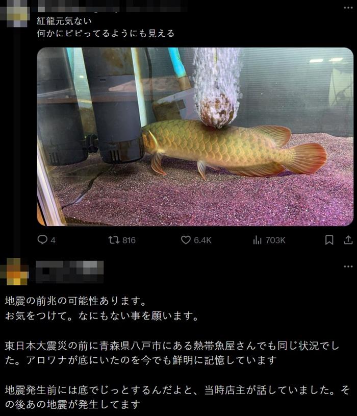 ปลามังกร ส่งสัญญาณก่อน แผ่นดินไหวญี่ปุ่น