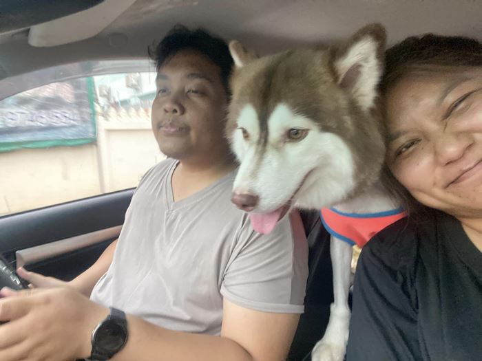 ไซบีเรียน โดนน้ำร้อนราด 