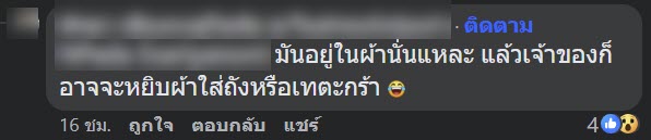 งูเข้าเครื่องซักผ้า