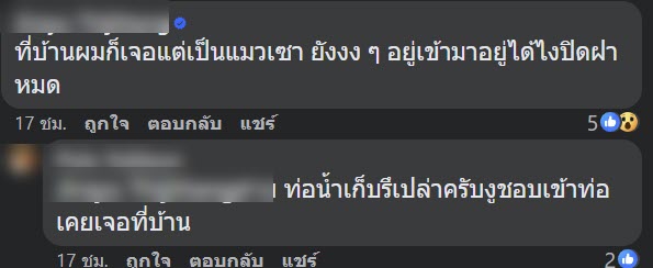 งูเข้าเครื่องซักผ้า