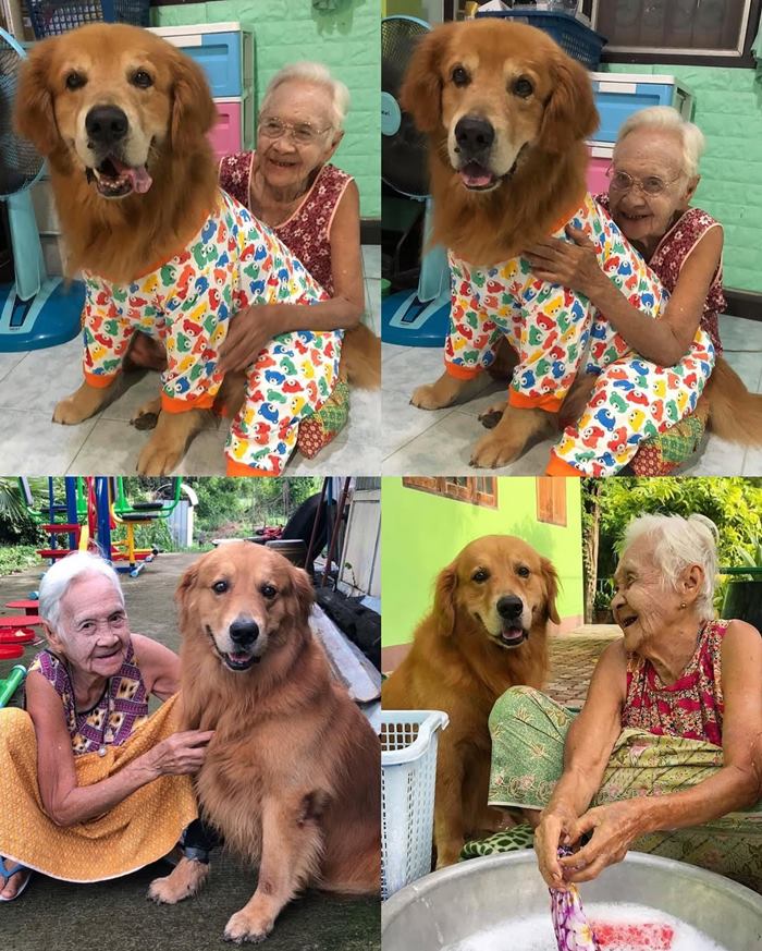 คุณยาย เพจลีโอไอ้หนูของยาย เสียชีวิต