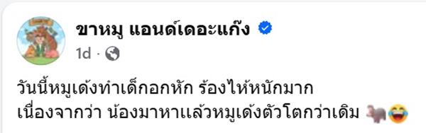 หมูเด้ง เขาเขียว