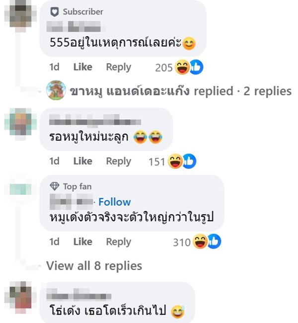 หมูเด้ง เขาเขียว