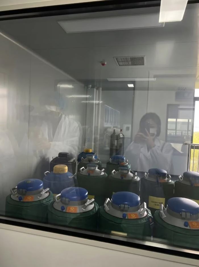 โคลนนิ่งสัตว์