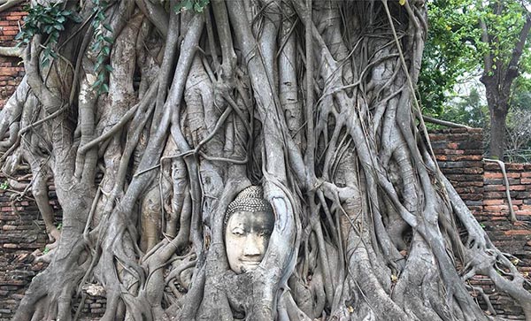 วัดมหาธาตุ อยุธยา