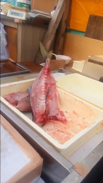 เรื่องแปลกทั่วโลก