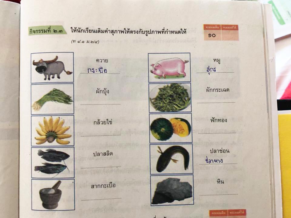 การบ้านเด็ก