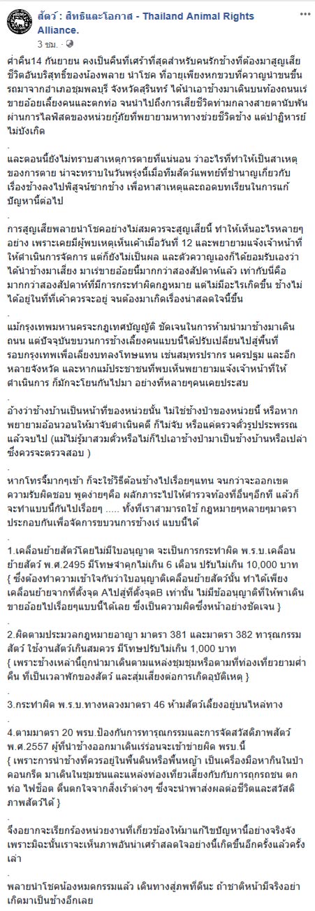 ช้างเร่ร่อน