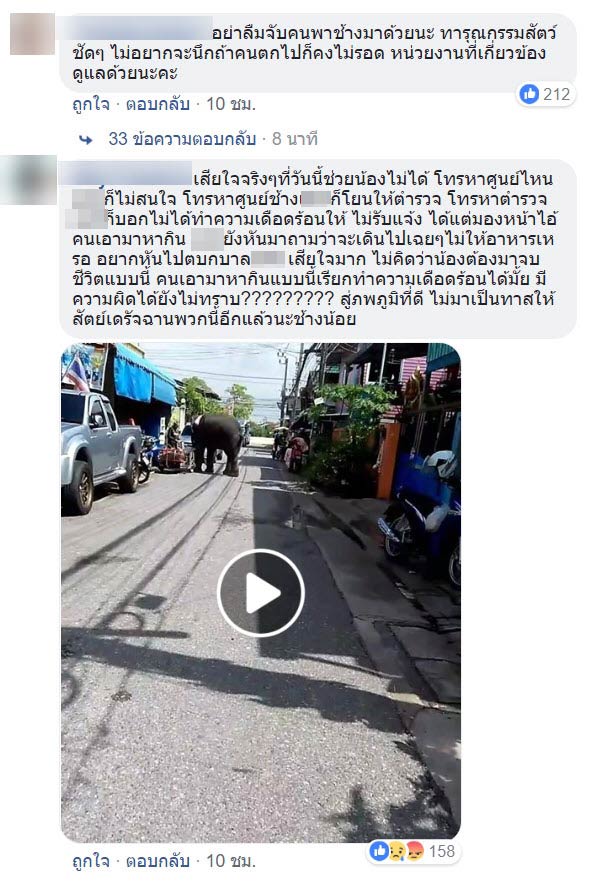 ช้างเร่ร่อน