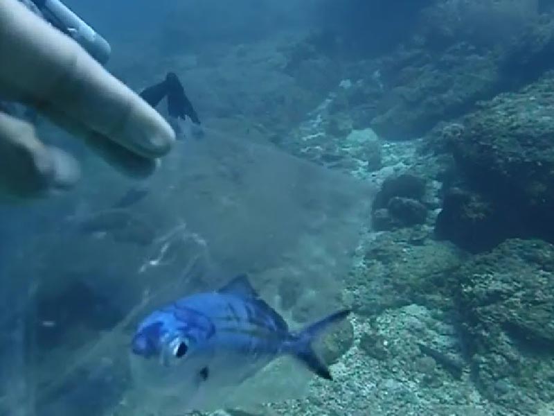 ทิ้งขยะลงทะเล