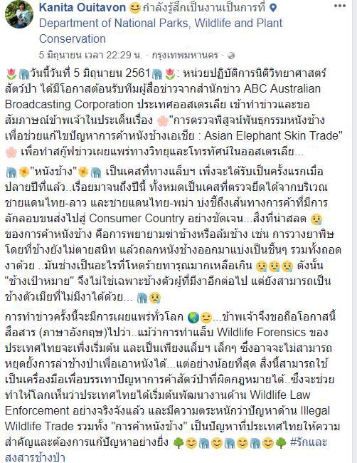 ล่าสัตว์