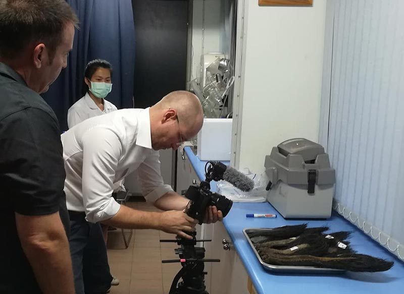 ล่าสัตว์