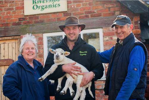 อังกฤษเพาะพันธุ์แกะ 6 ขา สำเร็จ เร่งขยายพันธุ์