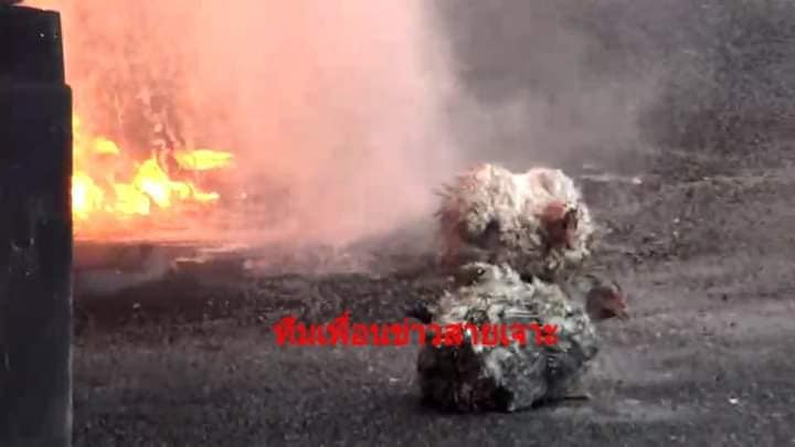 ไฟไหม้ล้อรถ