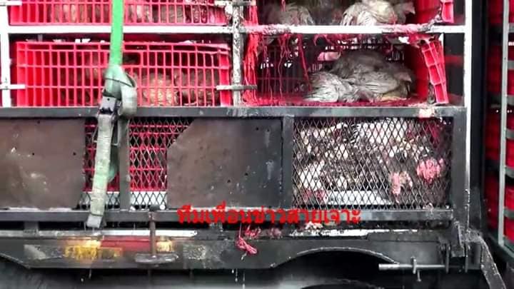 ไฟไหม้ล้อรถ