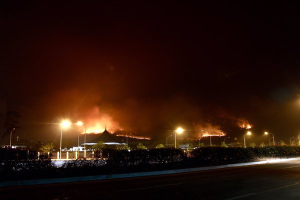 ไฟไหม้ป่า