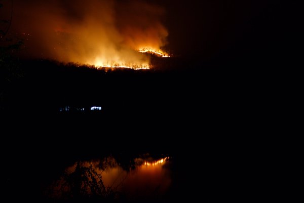 ไฟไหม้ป่า