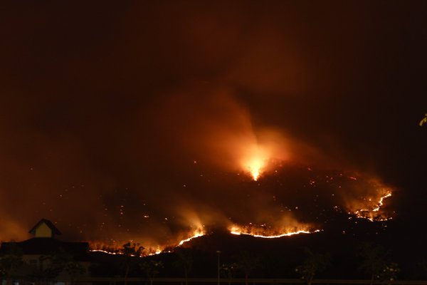 ไฟไหม้ป่า