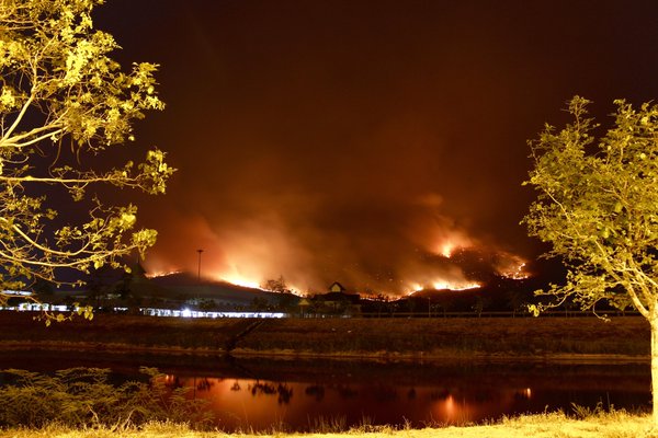 ไฟไหม้ป่า