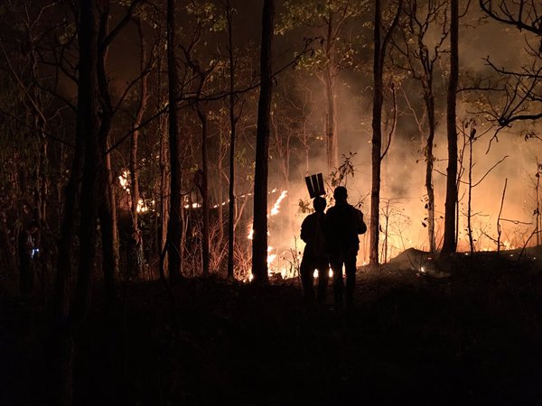 ไฟไหม้ป่า