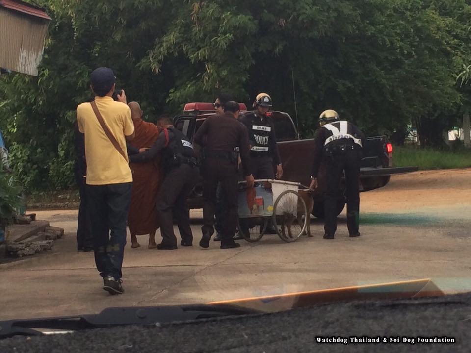 พระใช้หมาลากรถ