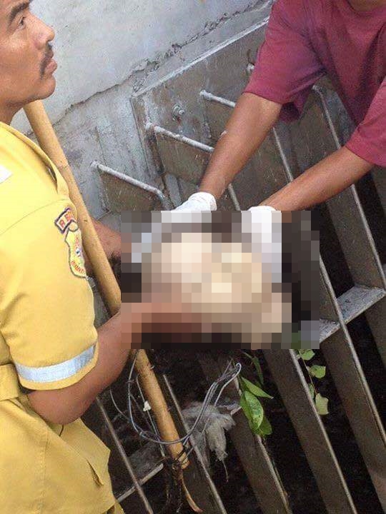 ศพสาวนิรนาม