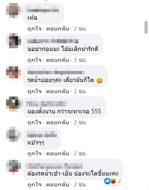 สปอยเลอร์จิ๋ว