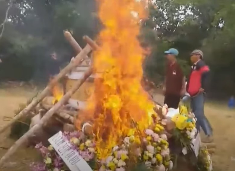 น้องชมพู่