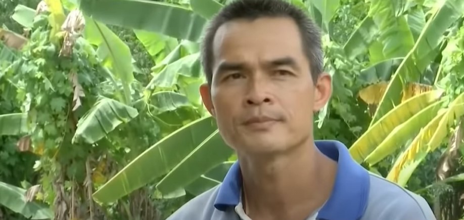 น้องชมพู่