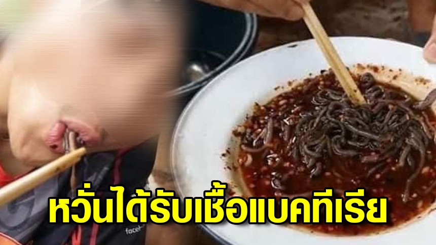 ไส้เดือนดิบ