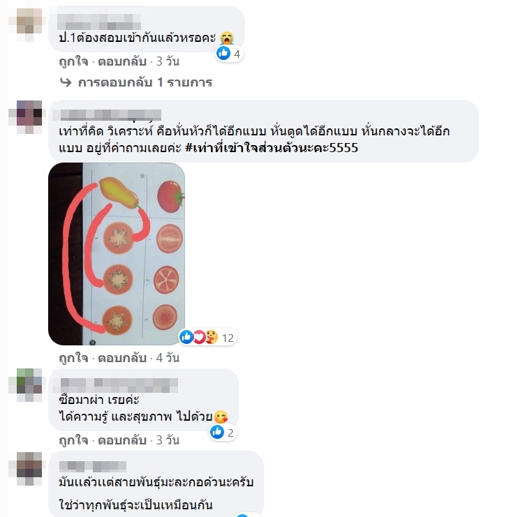 ผ่ามะละกอ