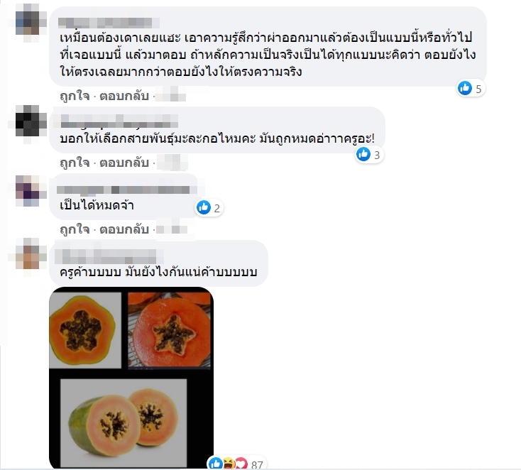 ผ่ามะละกอ