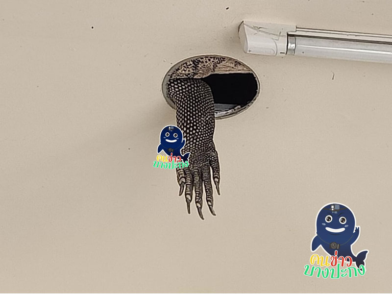 ตัวเงินตัวทอง