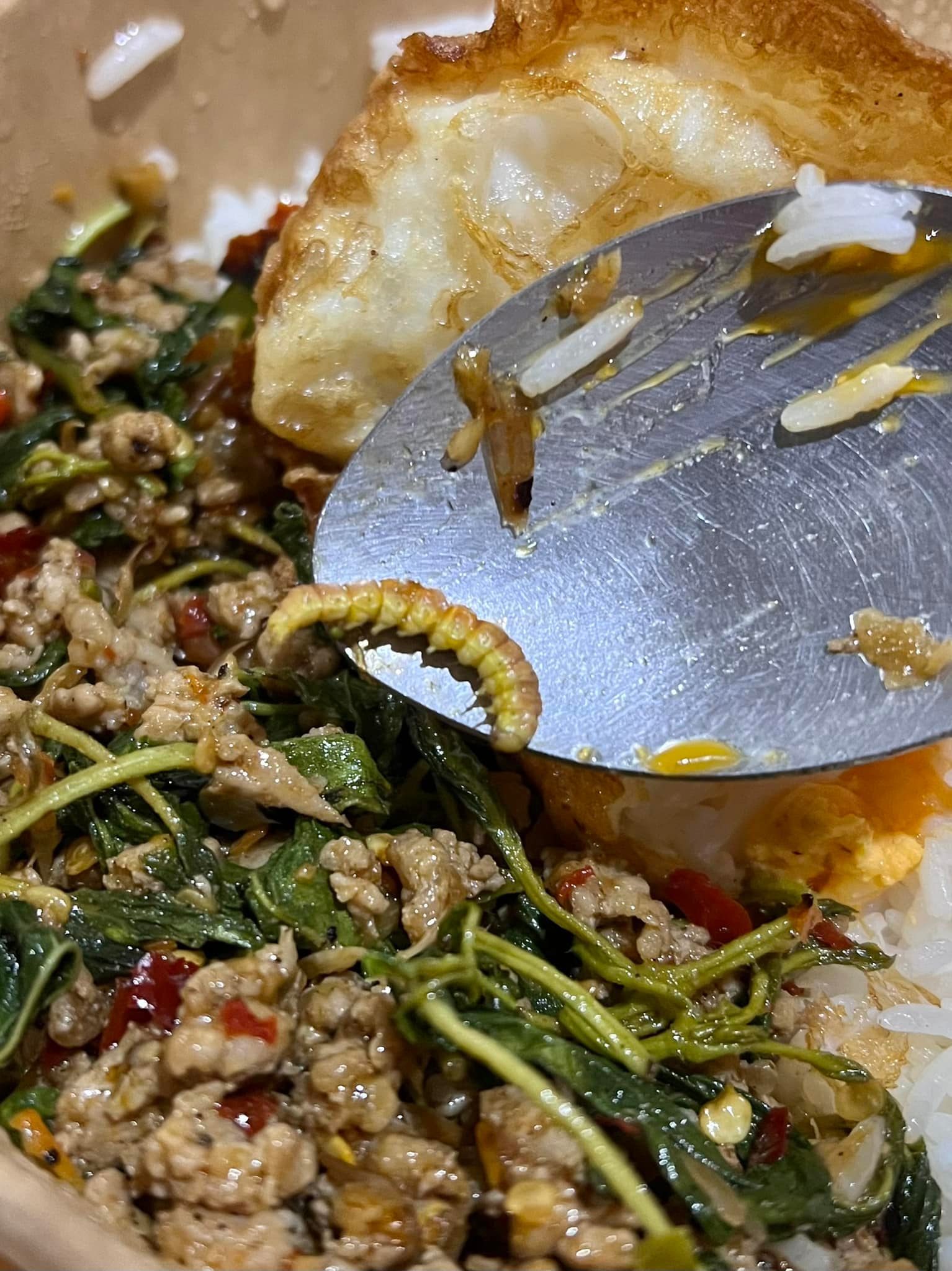 ผัดกะเพรา